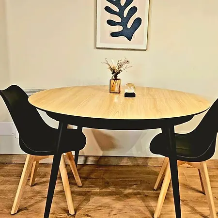 Les Chats Appartement