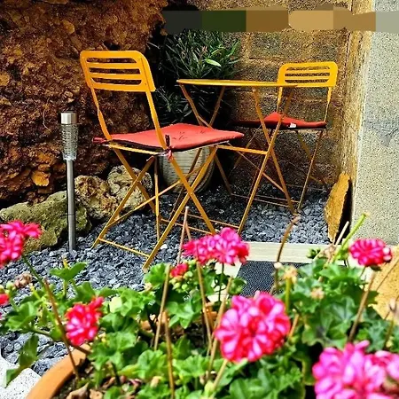 Les Chats * Hayange